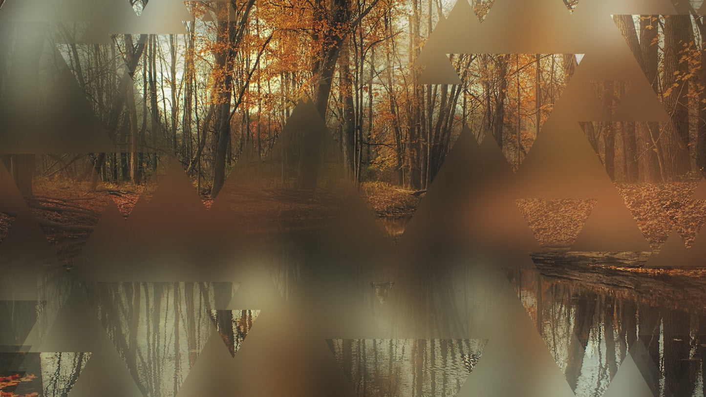 Autumn Journey 02 Still