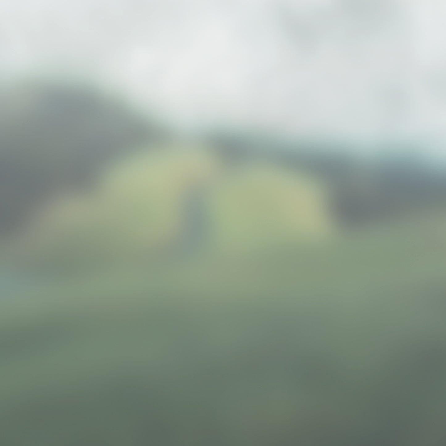 Muted Landscapes