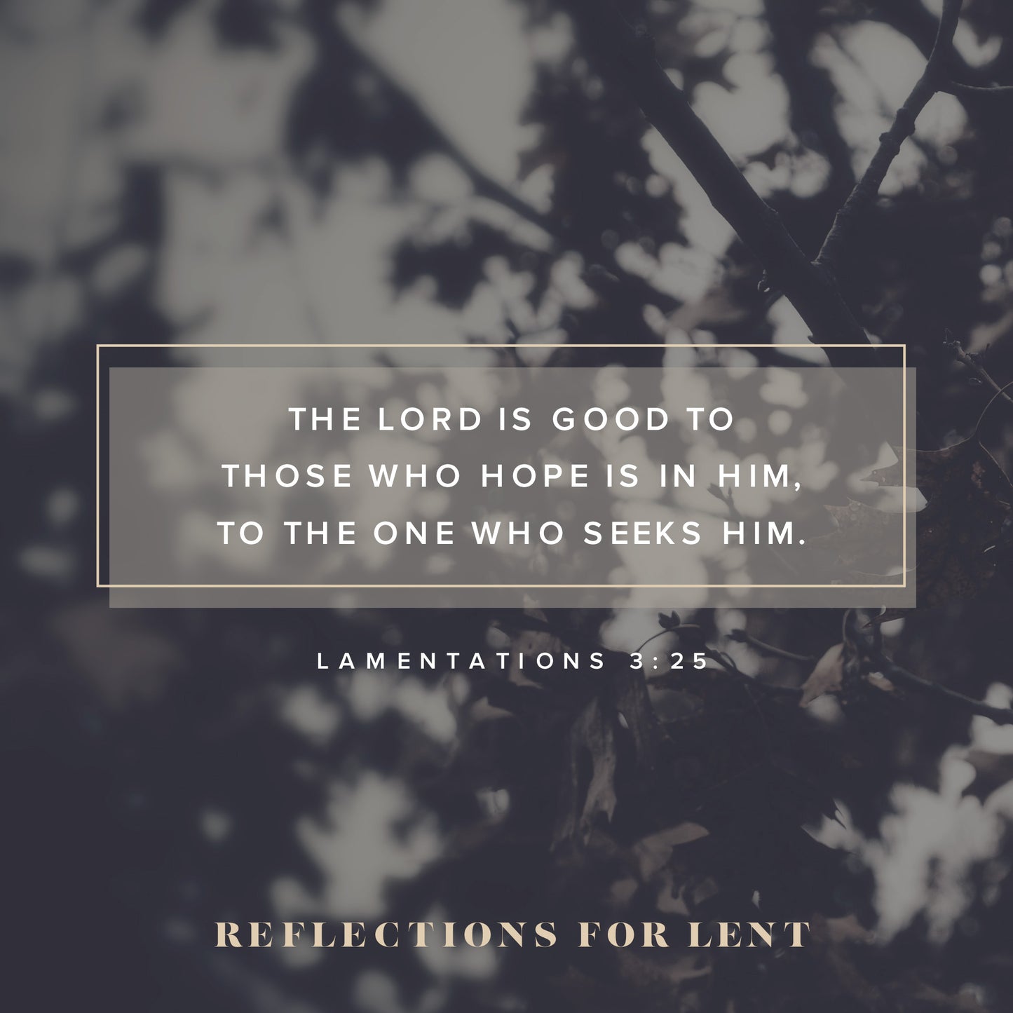 Reflections For Lent 2