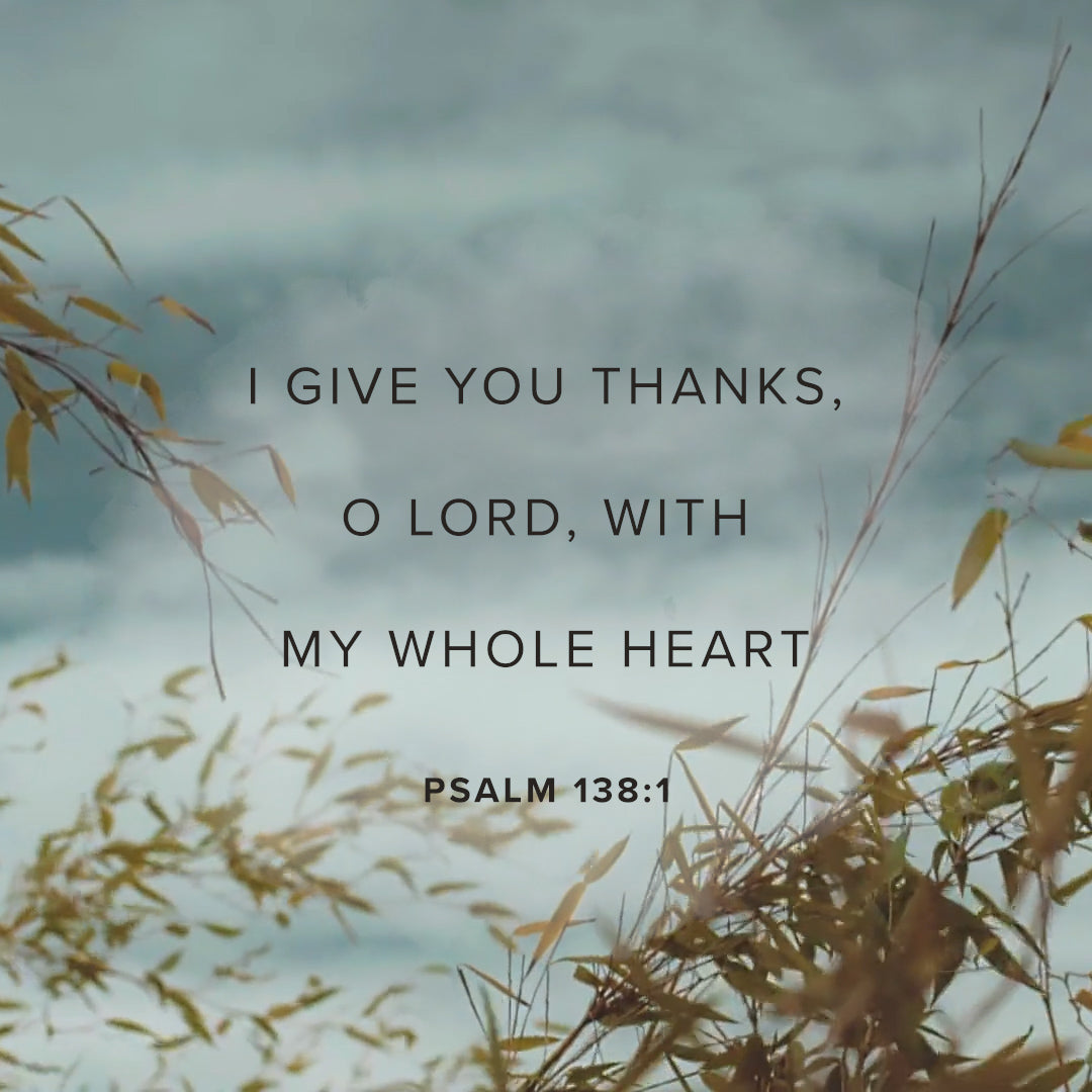 Psalm 138:1