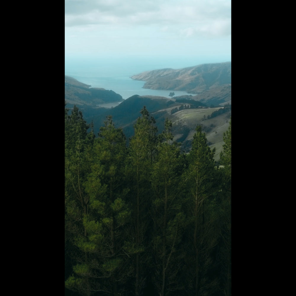 Aerial Bliss Sunday Blank Reel