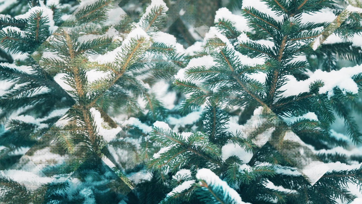 Rustic Christmas 02