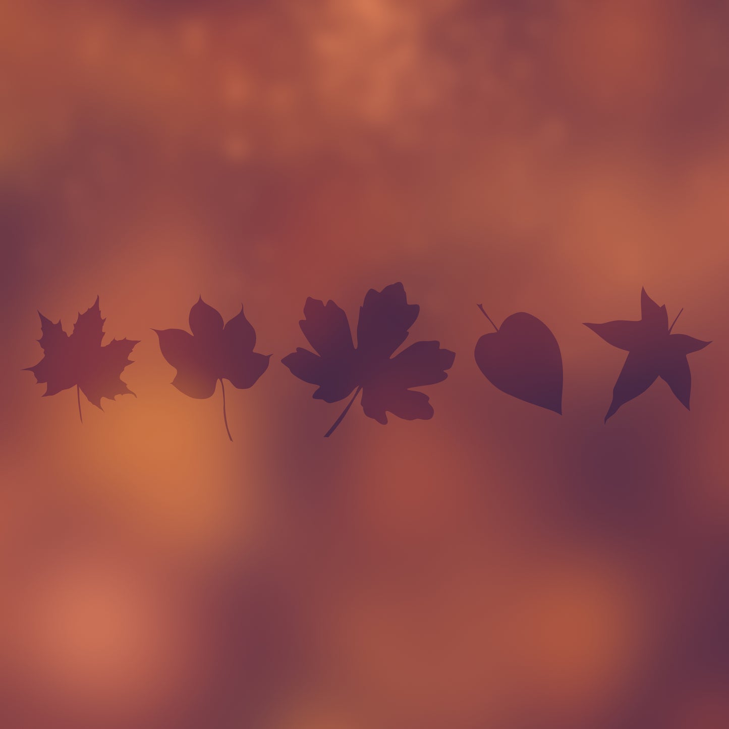 Autumn Optics