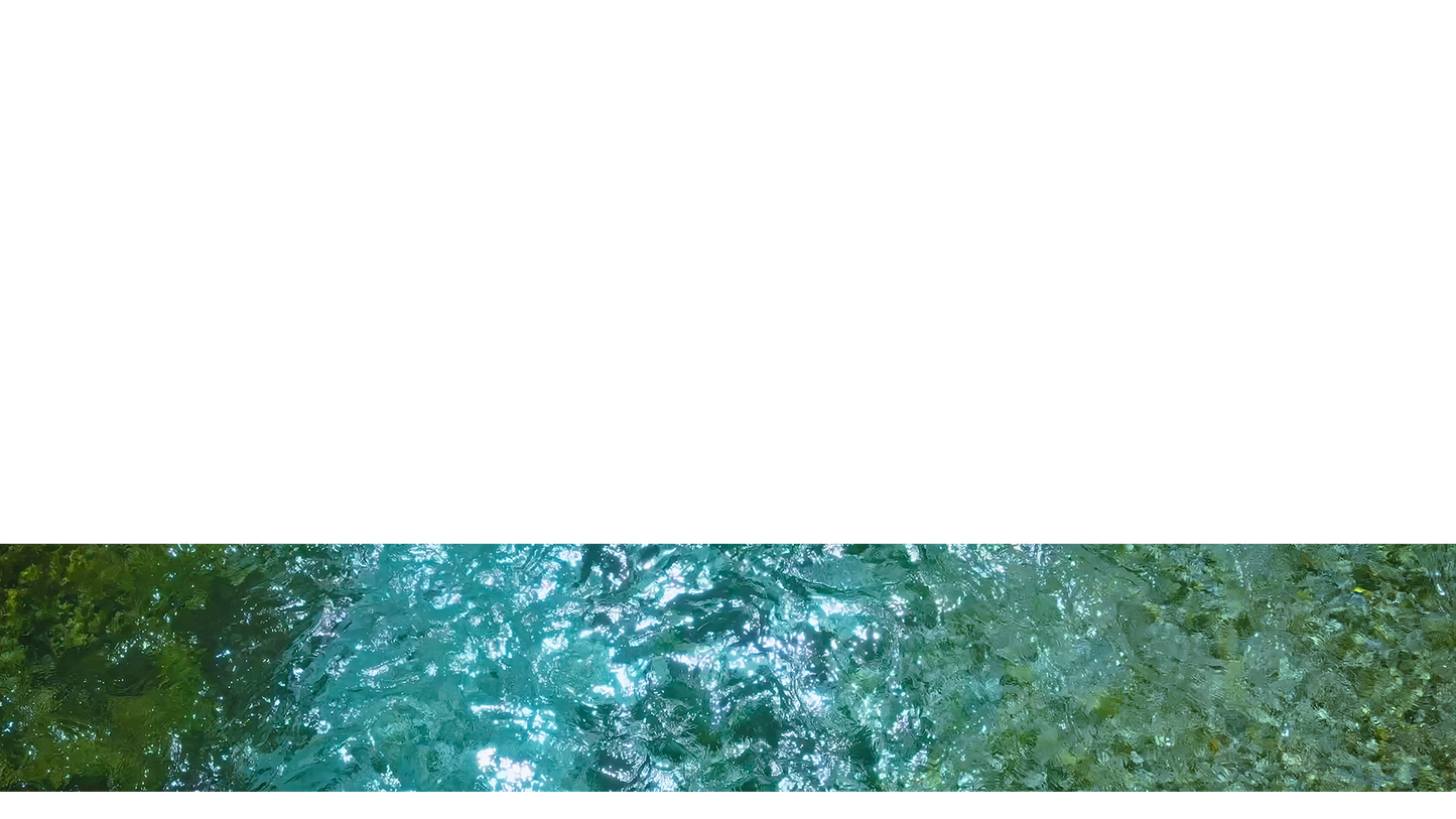 Blue Eye Lower Third 11
