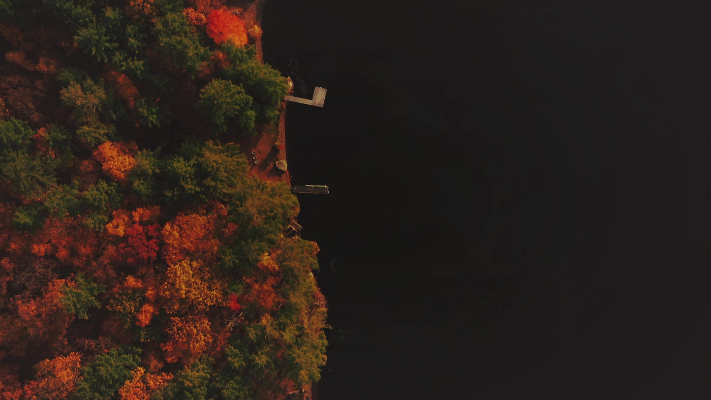 Autumn Colors Shore
