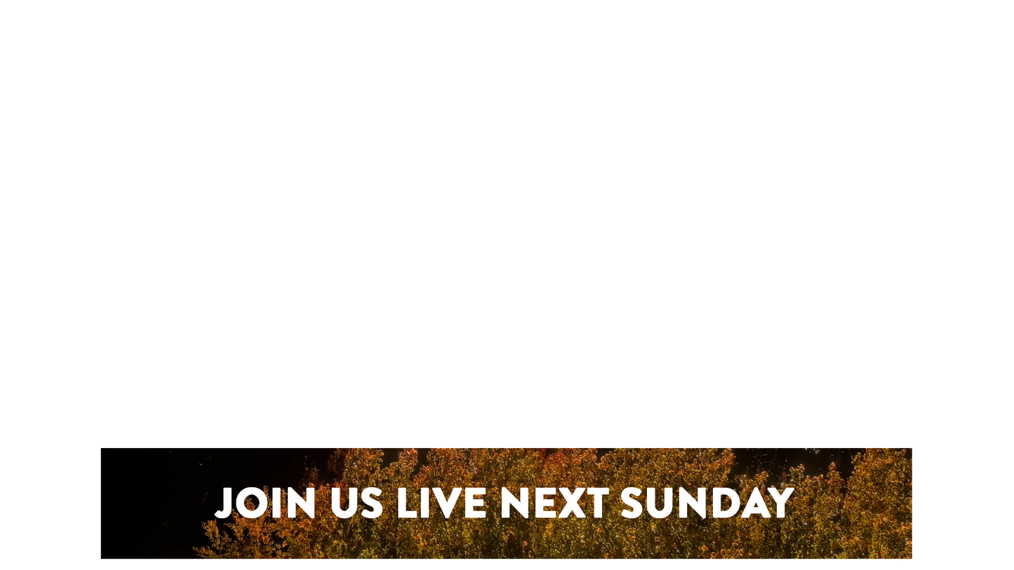Fall Foliage Lower Third Next Sunday