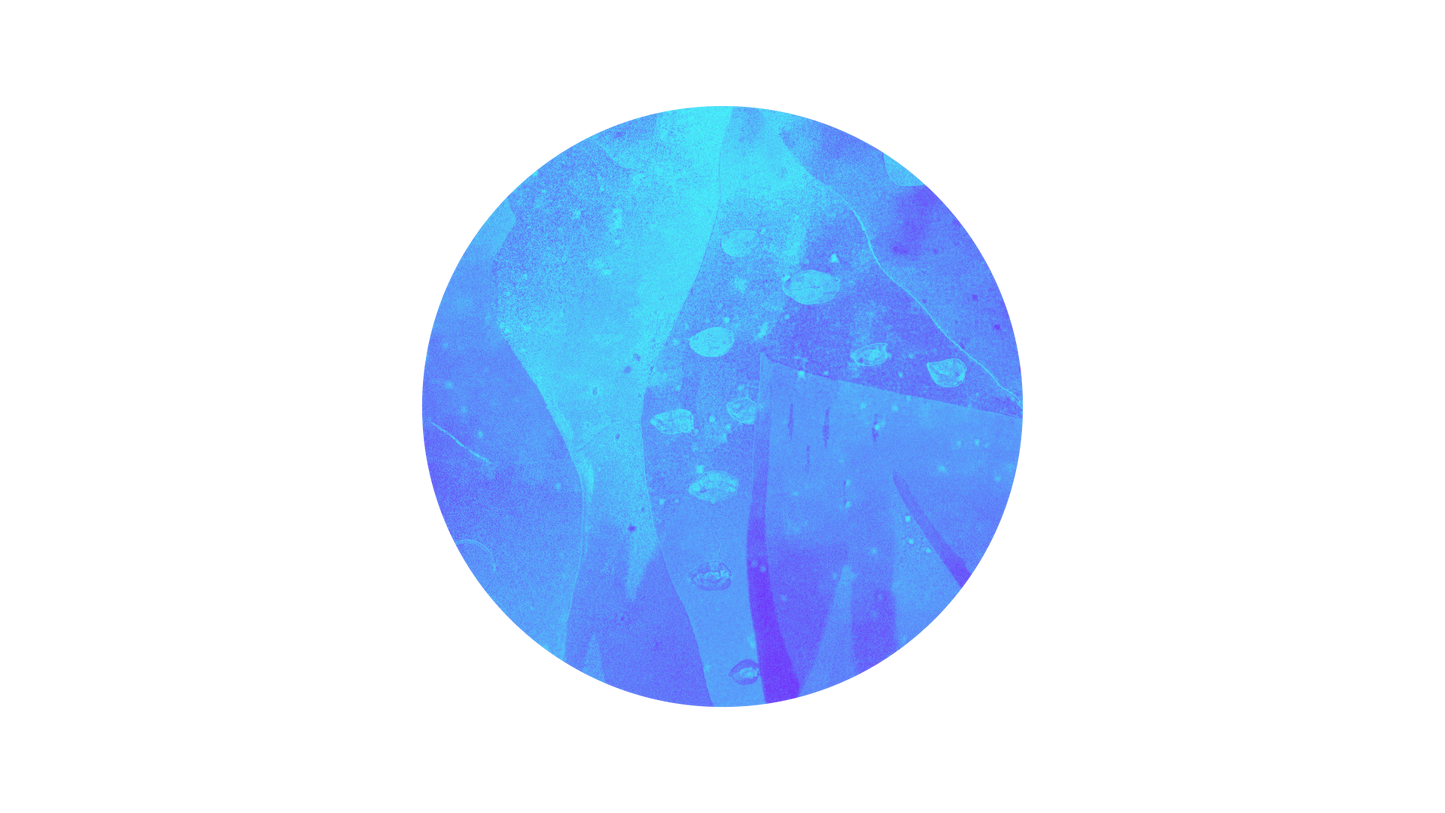 Vibrant Nature B Overlay Circle 01