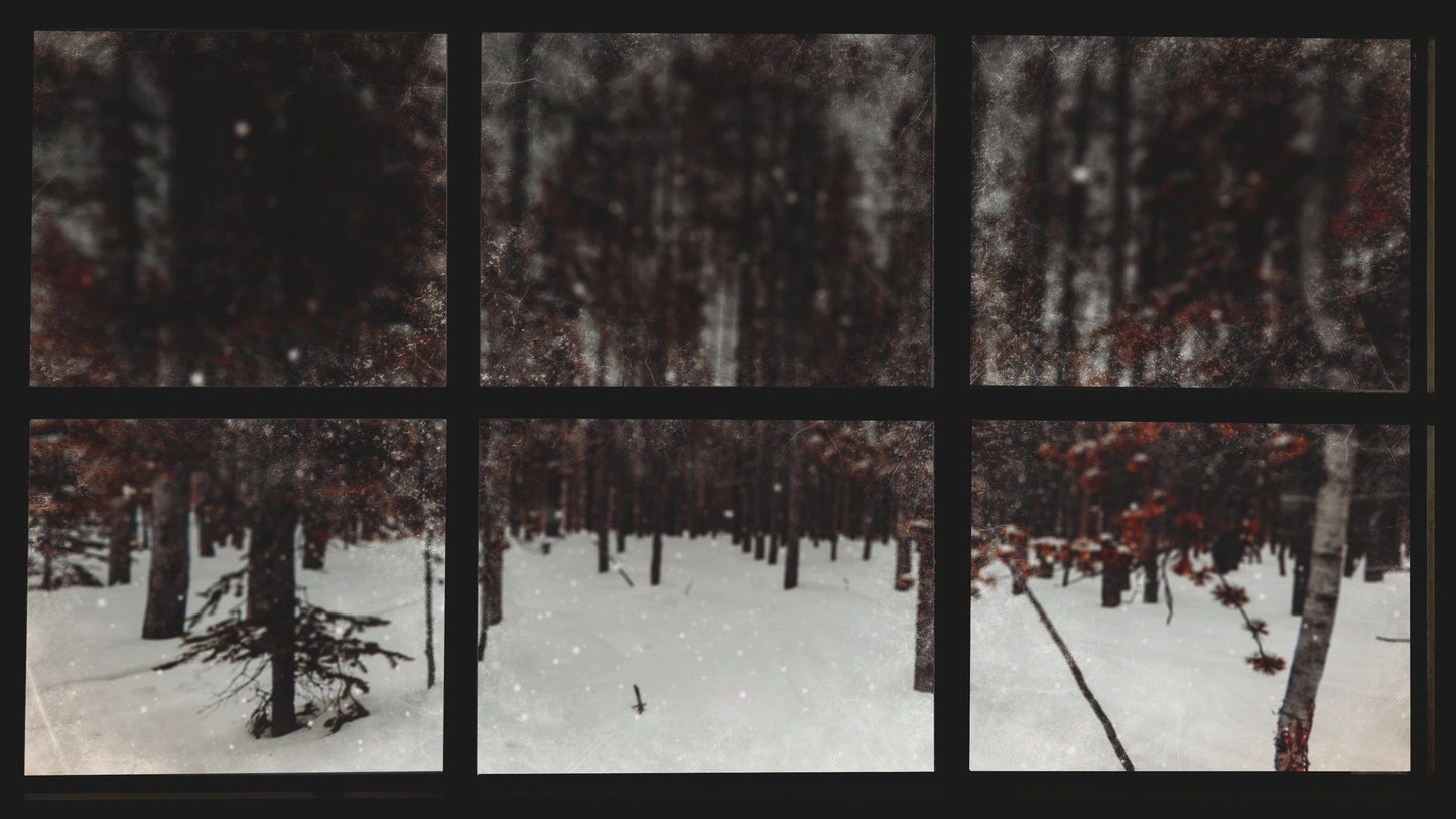 Christmas Windows 4
