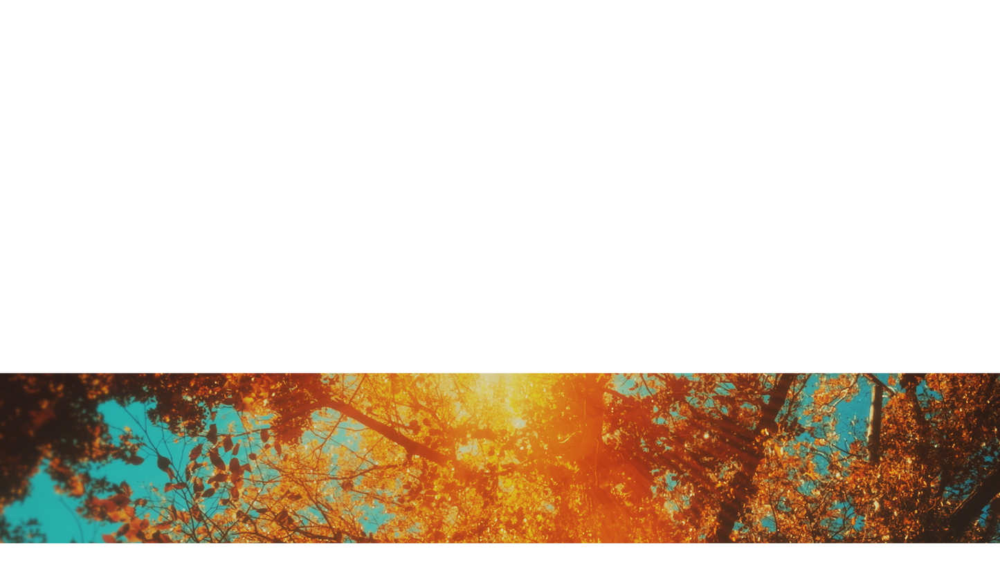 Autumn Canopies Lower Third 1