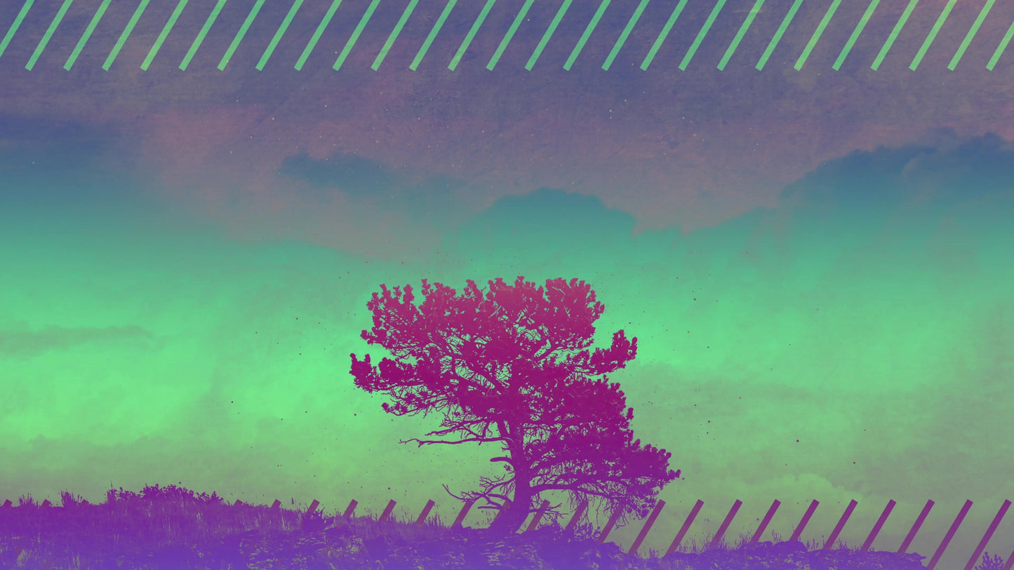 Lonely Tree Horizon