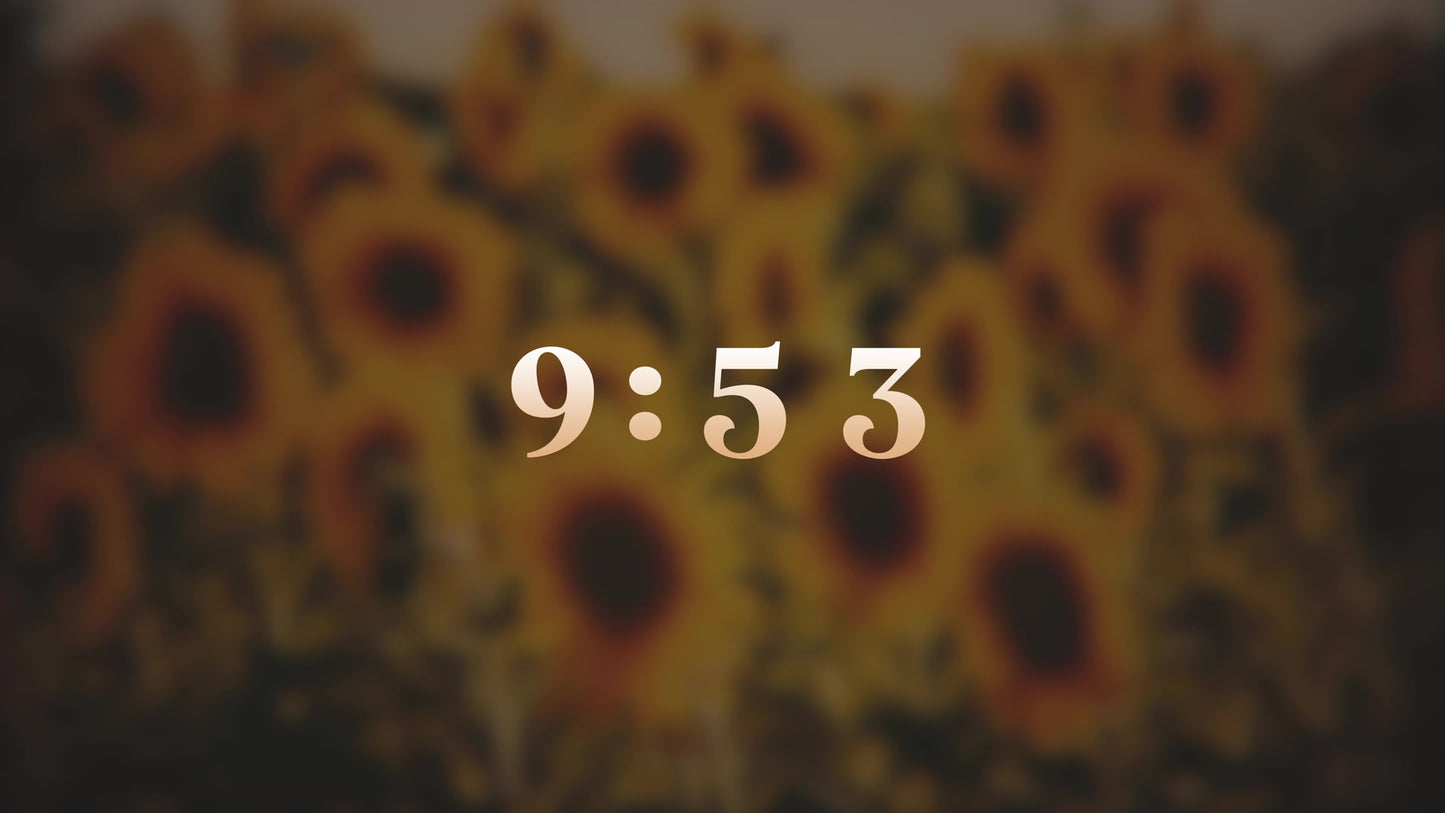 Vintage Sunflowers 10 Min Countdown