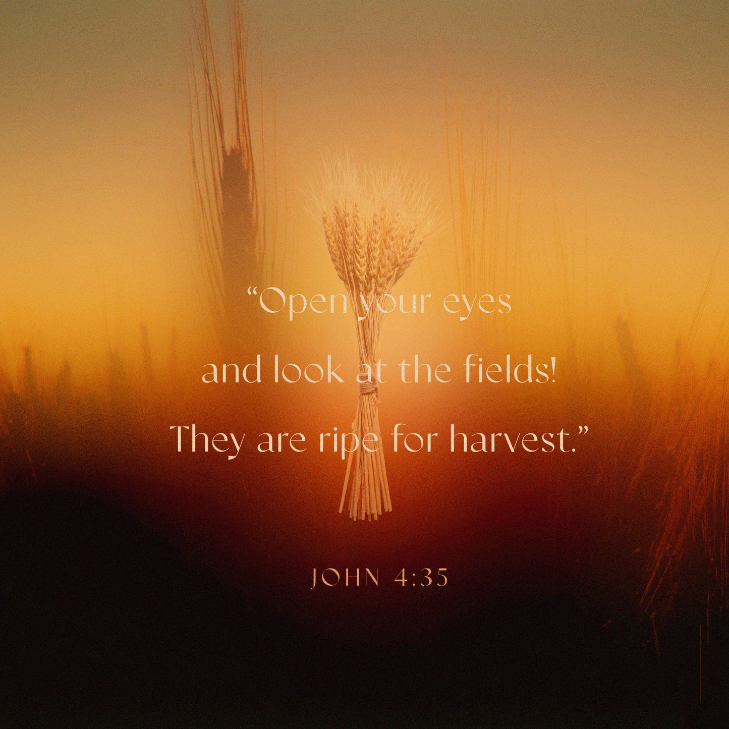 John 4:35