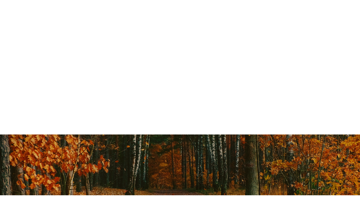 Autumn Colors Lower Third Full 3