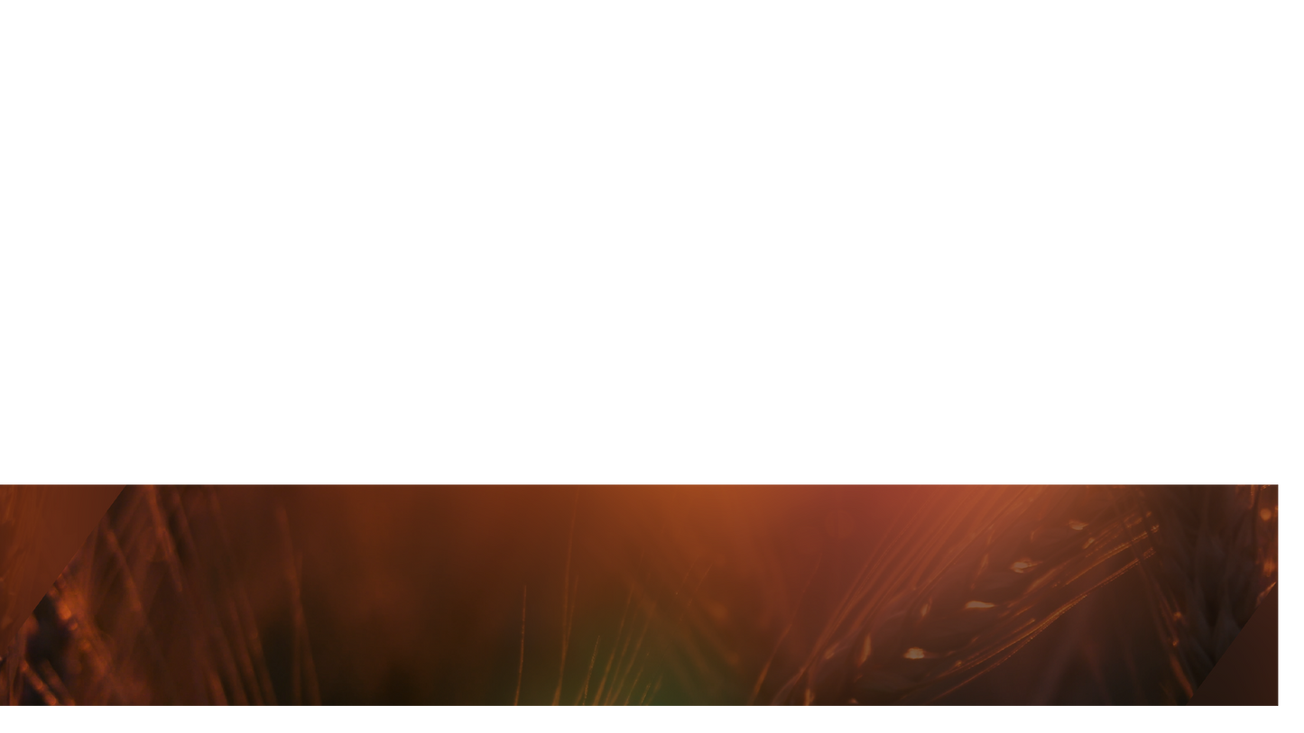 Days End Lower Third 2