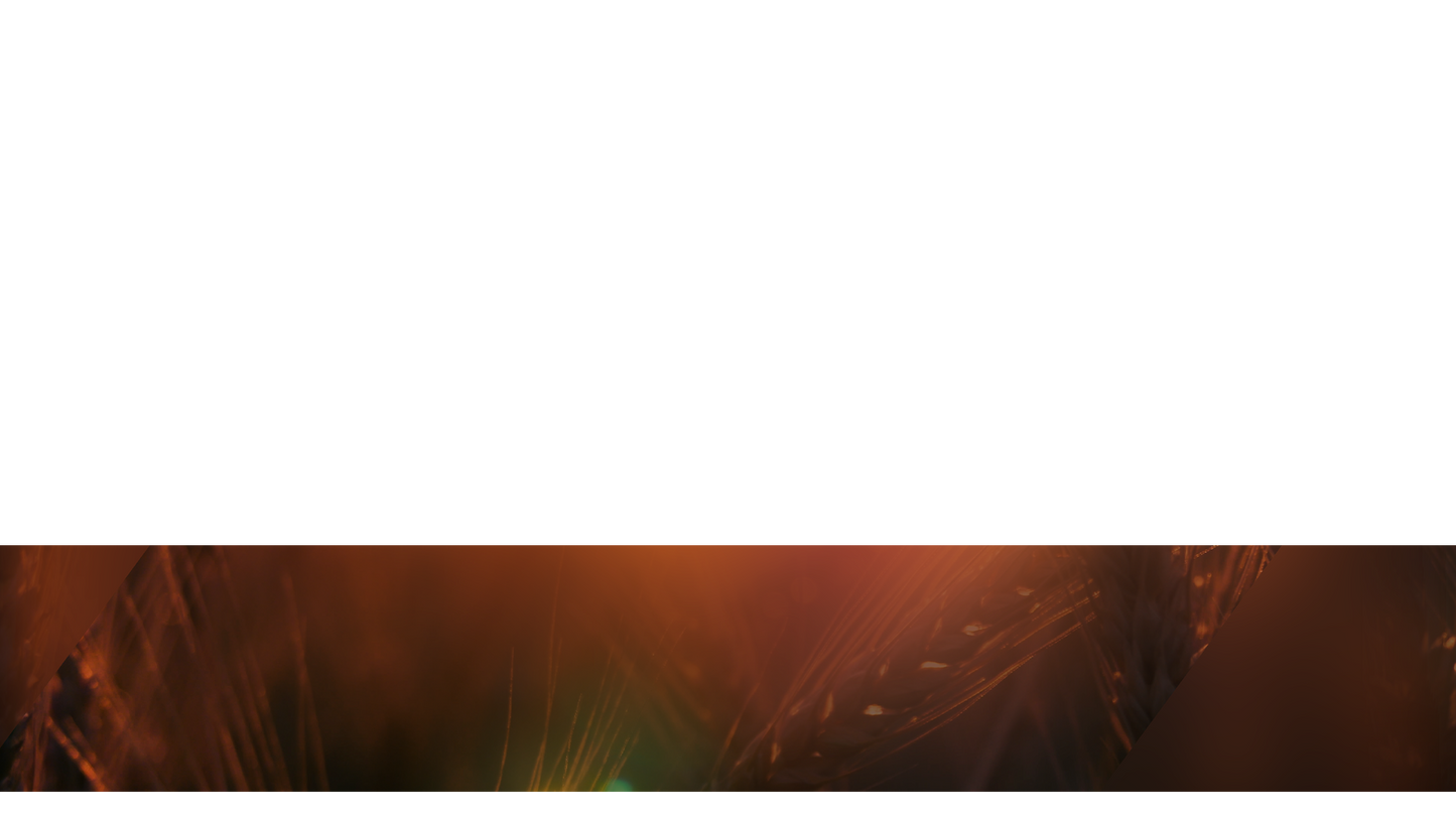 Days End Lower Third Full 2