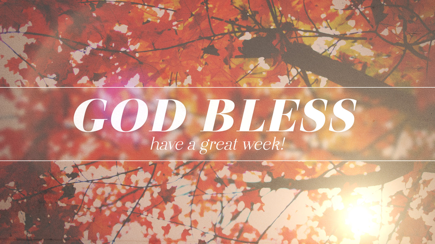 Autumn Light Closing Still