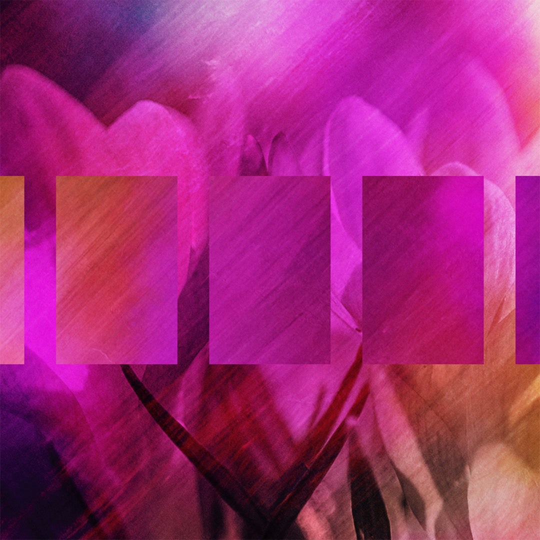 Painted Flowers Online Giving Blank