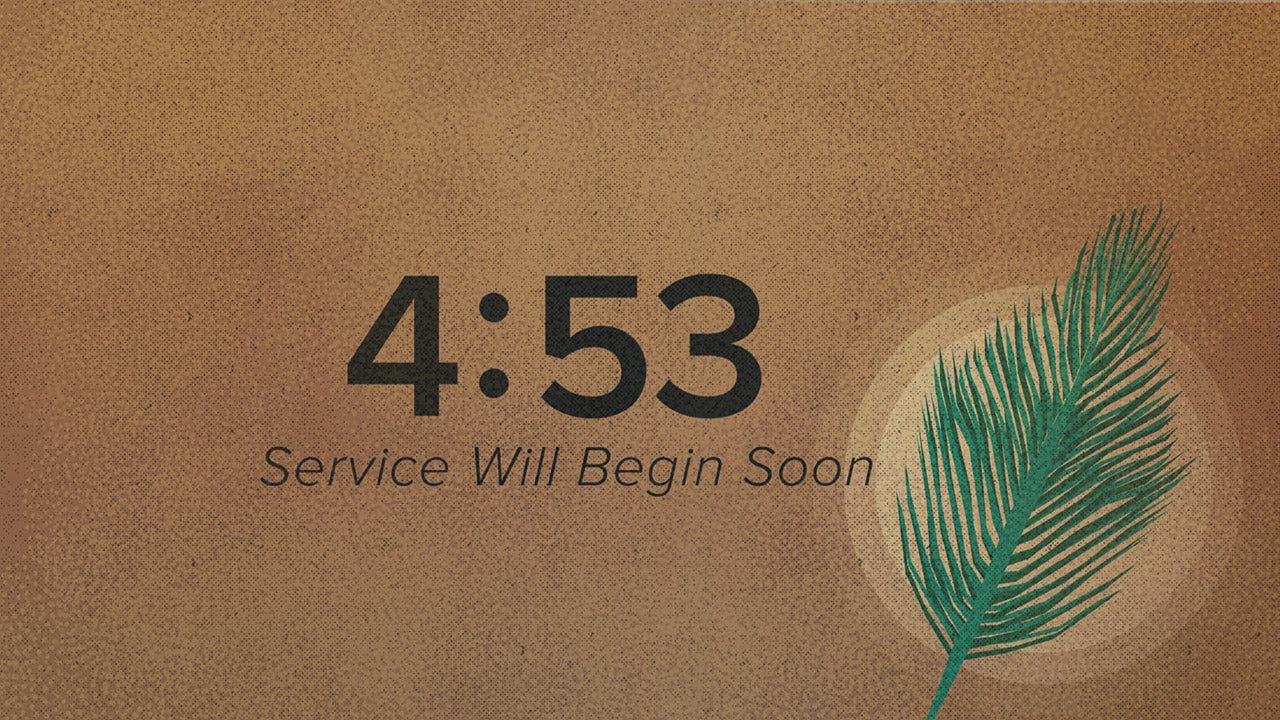 Holy Week Palm Countdown