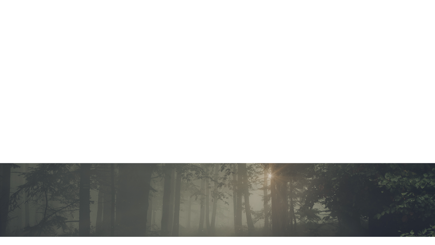 Lumberjack Dad Lower Third Full 3