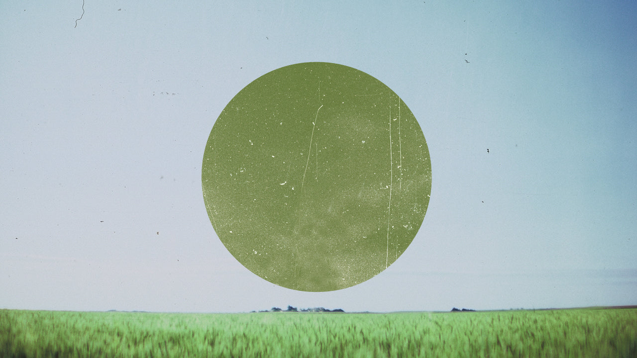Film Field Circle