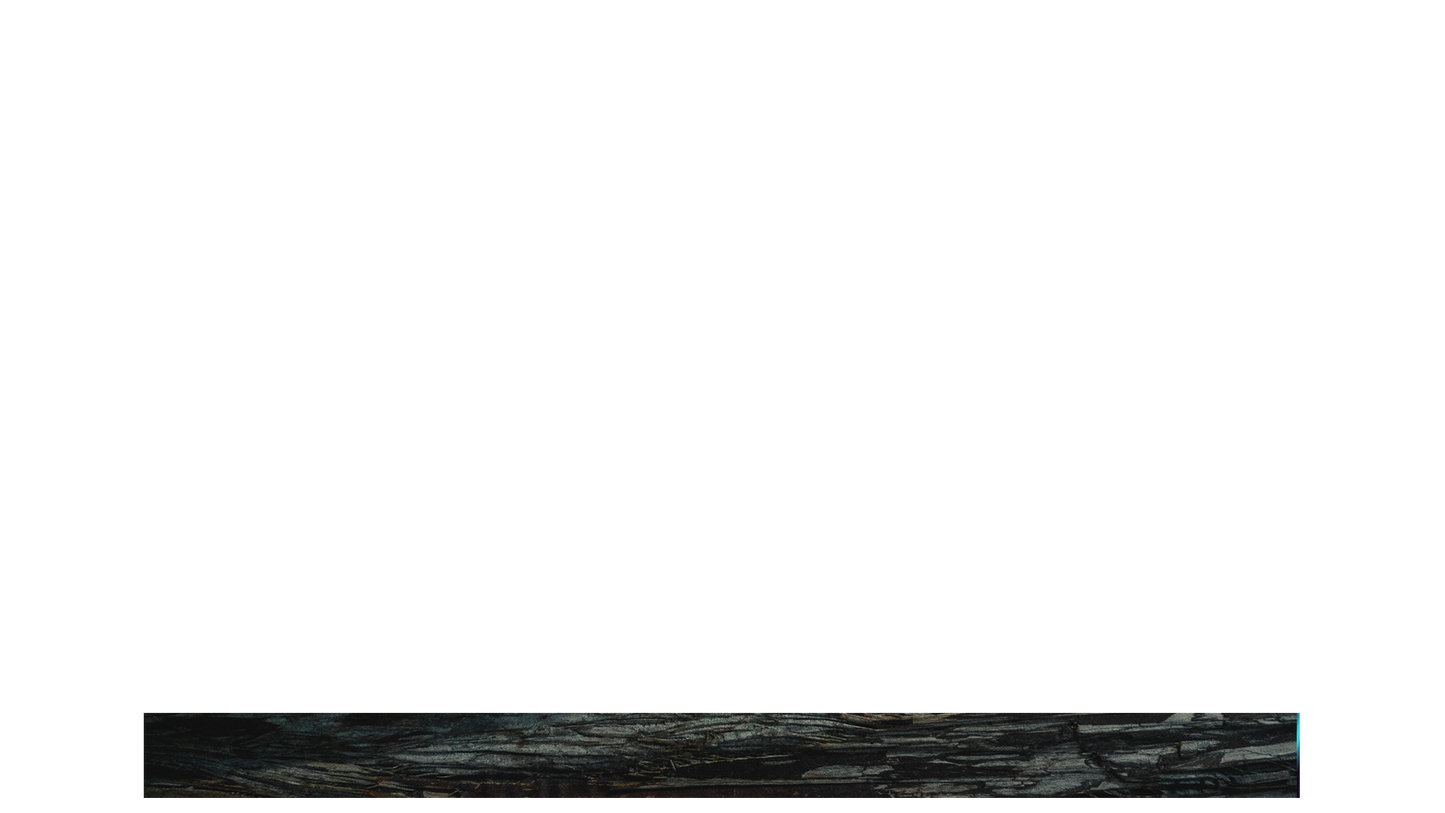 Winter Woods Lower Third Blank 01