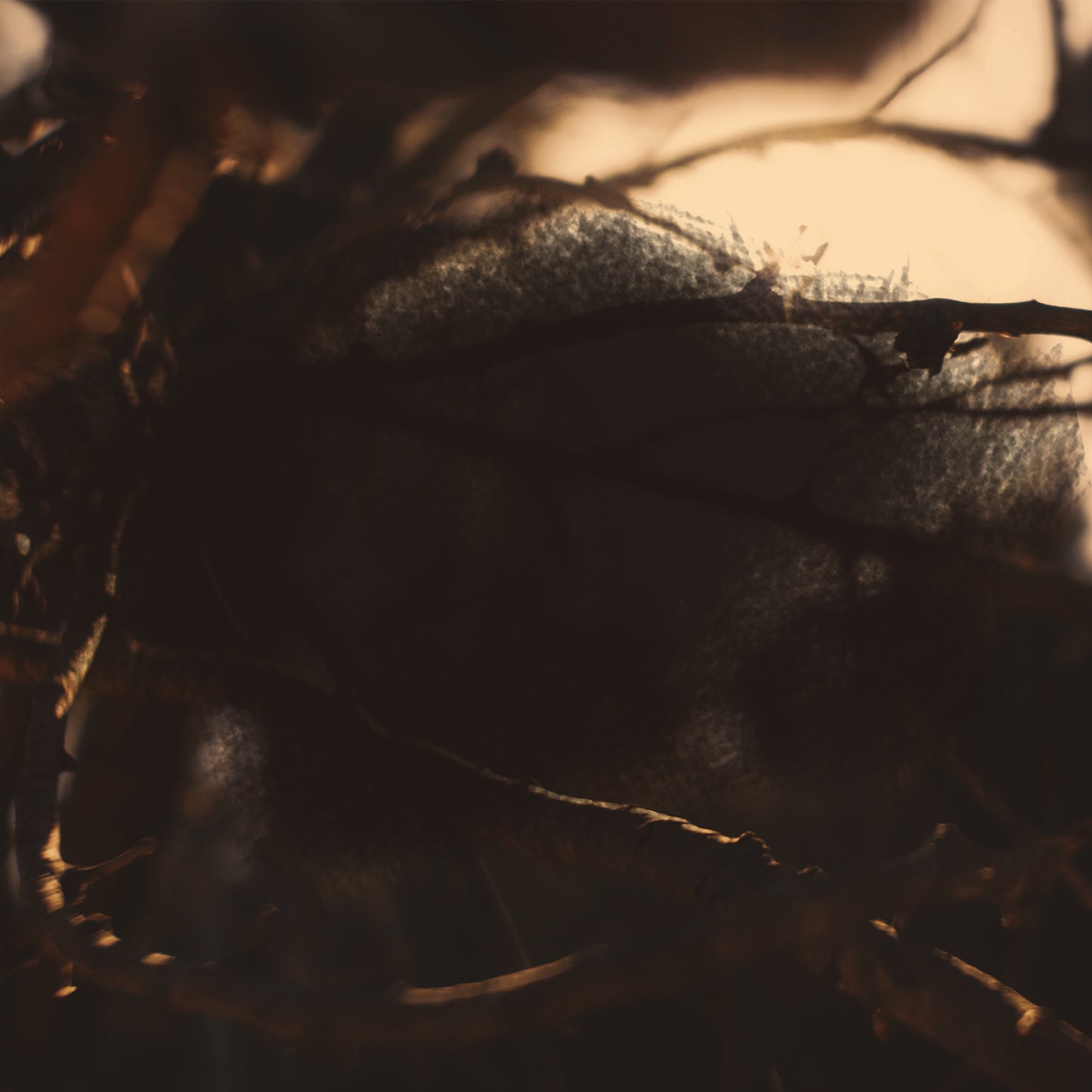Psalm 106:1 Blank
