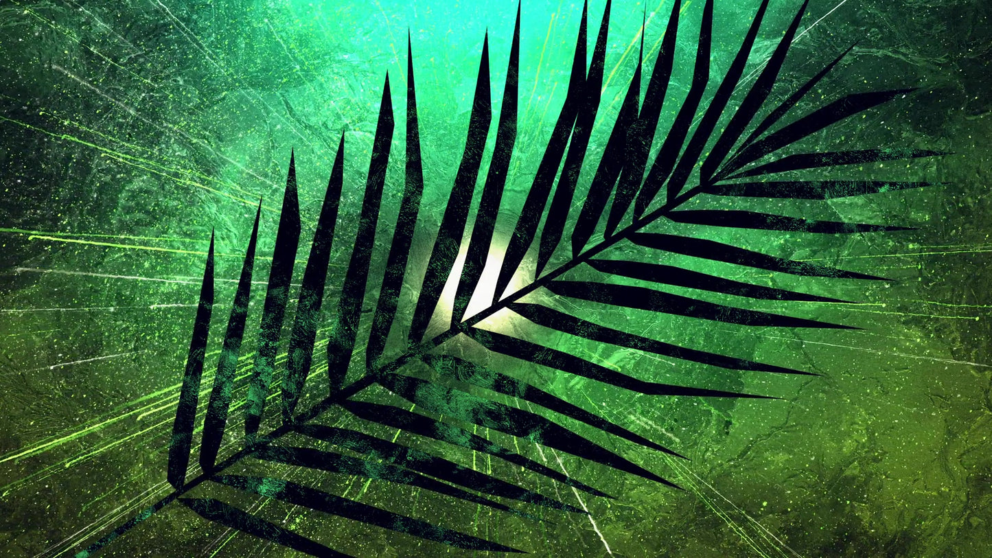 Vivid Palm Sunday 03