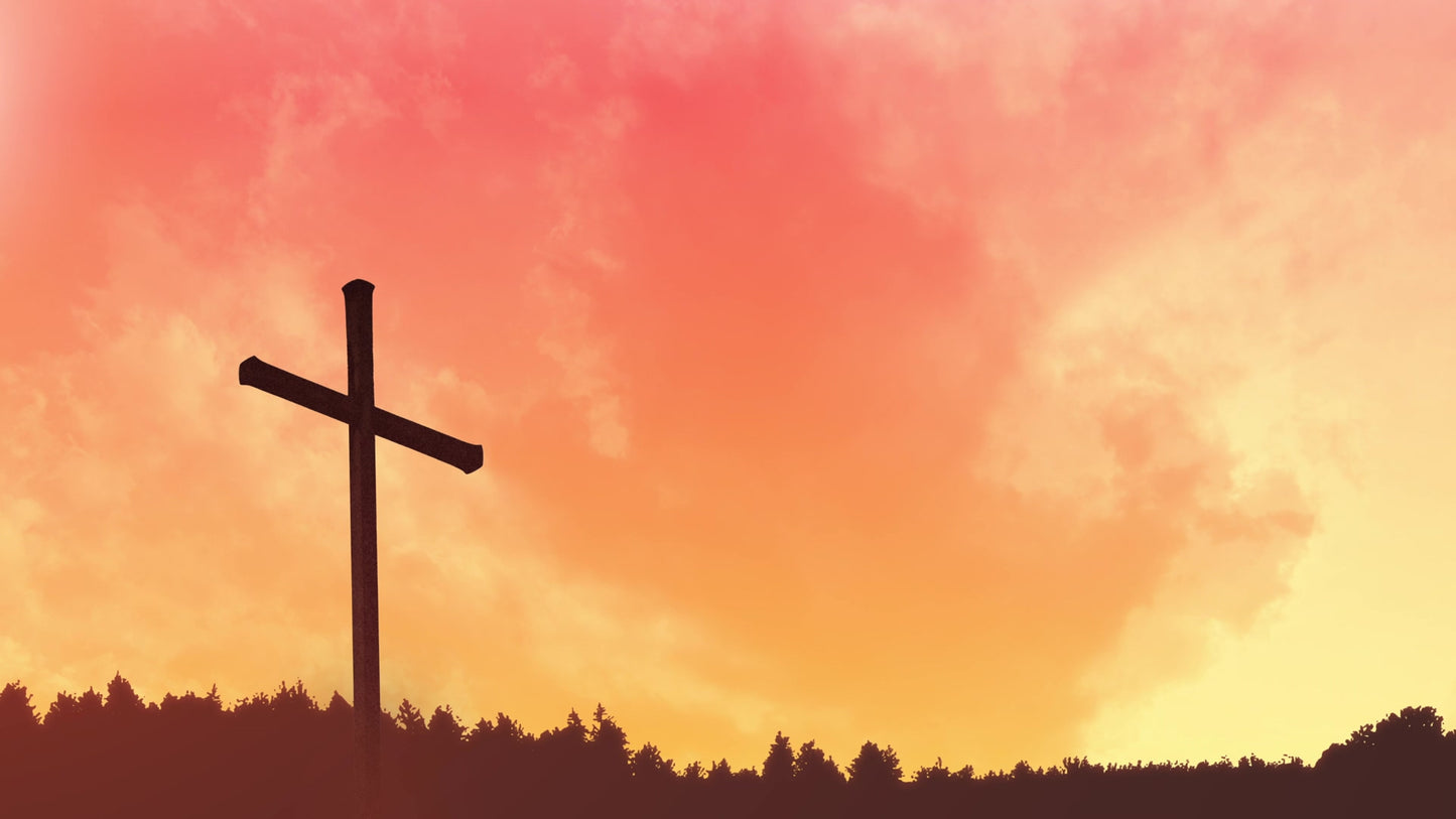 Horizon Crosses Morning