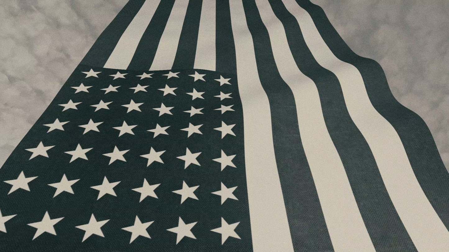 Vintage Waving American Flag 06 Still