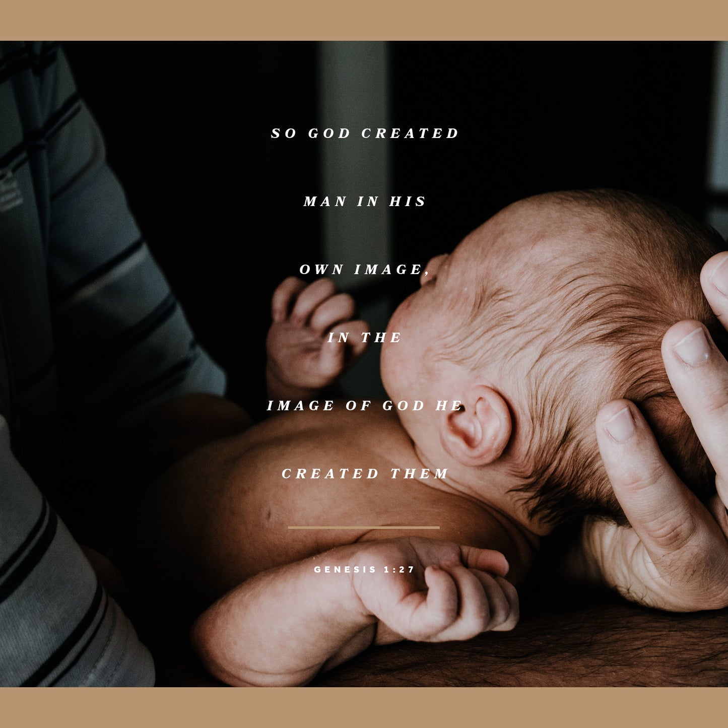 Genesis 1:27