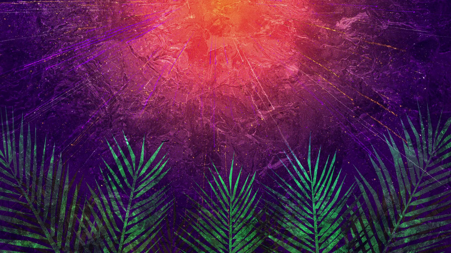 Vivid Palm Sunday 05