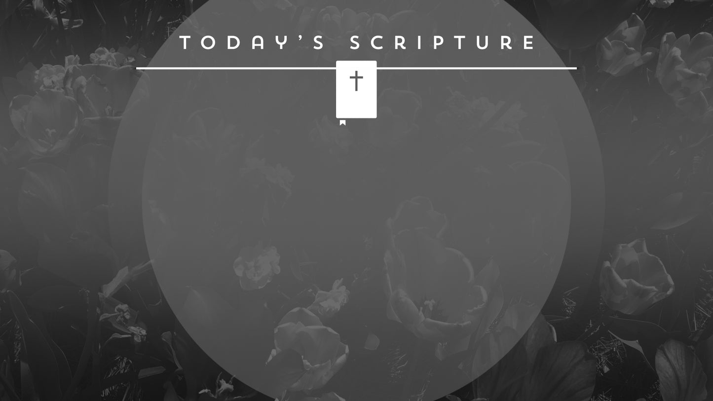 Kaleida Spring Scripture Still