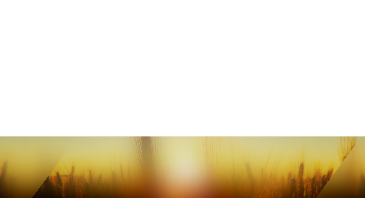 Days End Lower Third Full 3