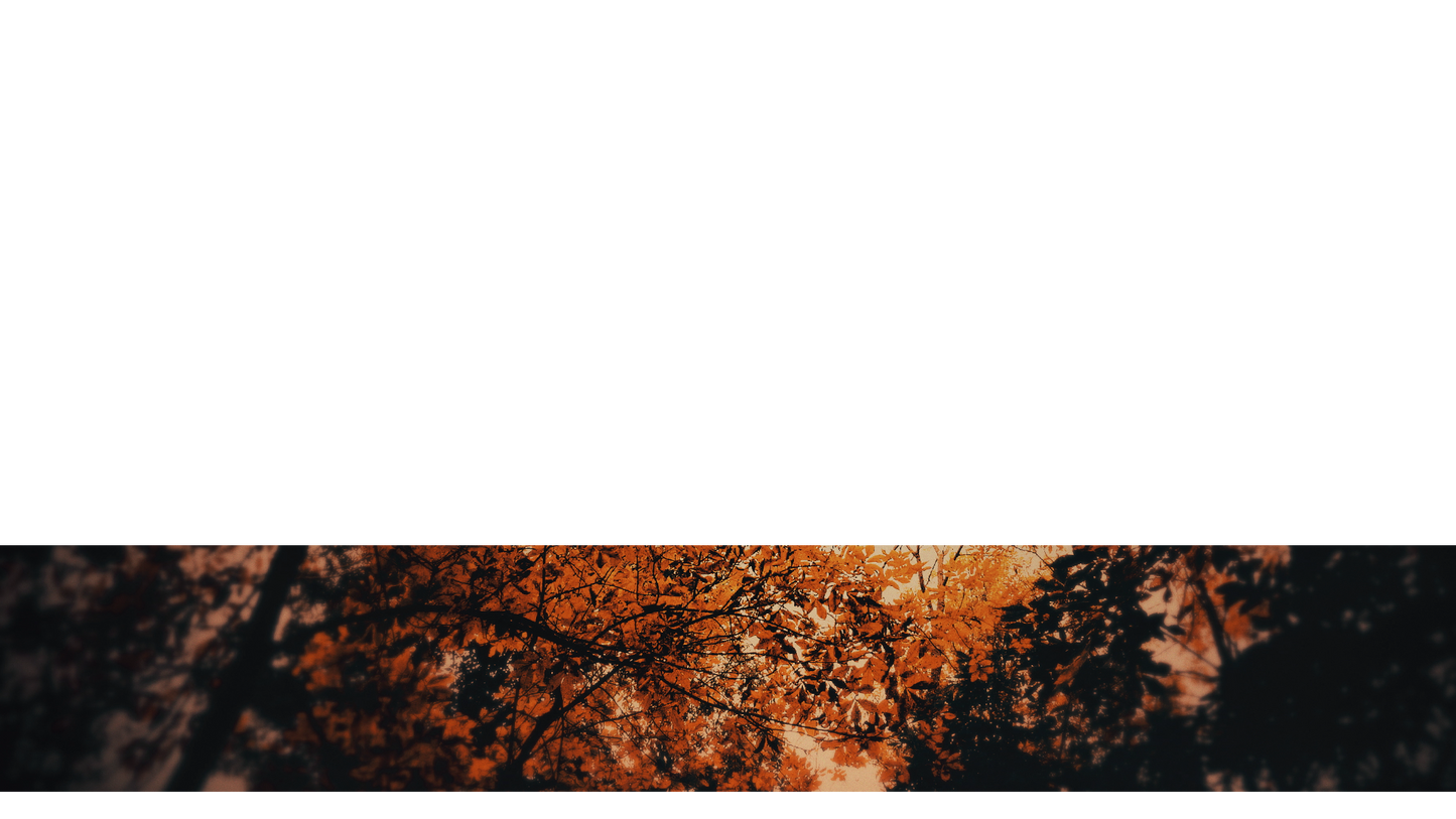 Autumn Fire Lower Third Full 2