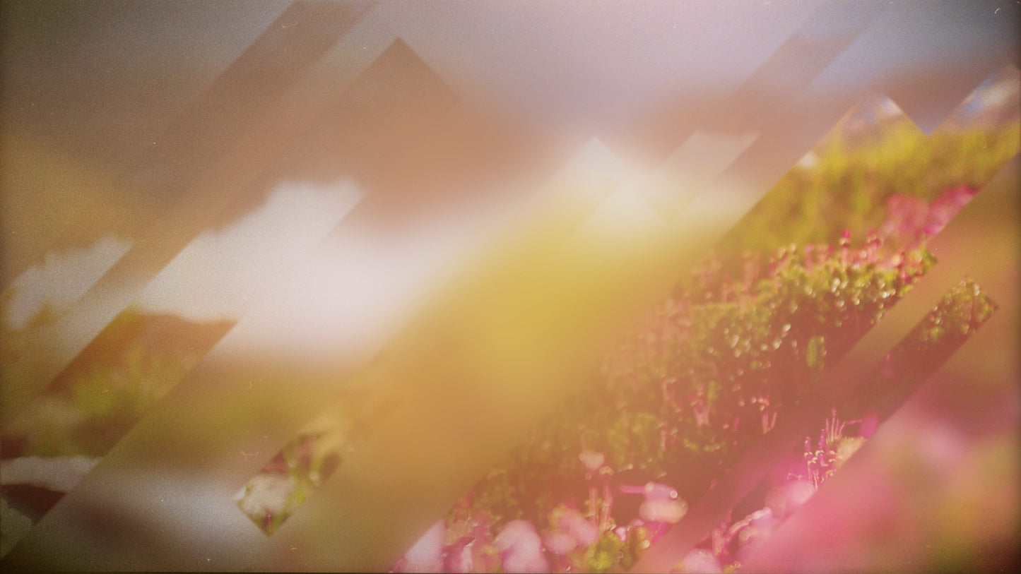Spring Journey 12 Still