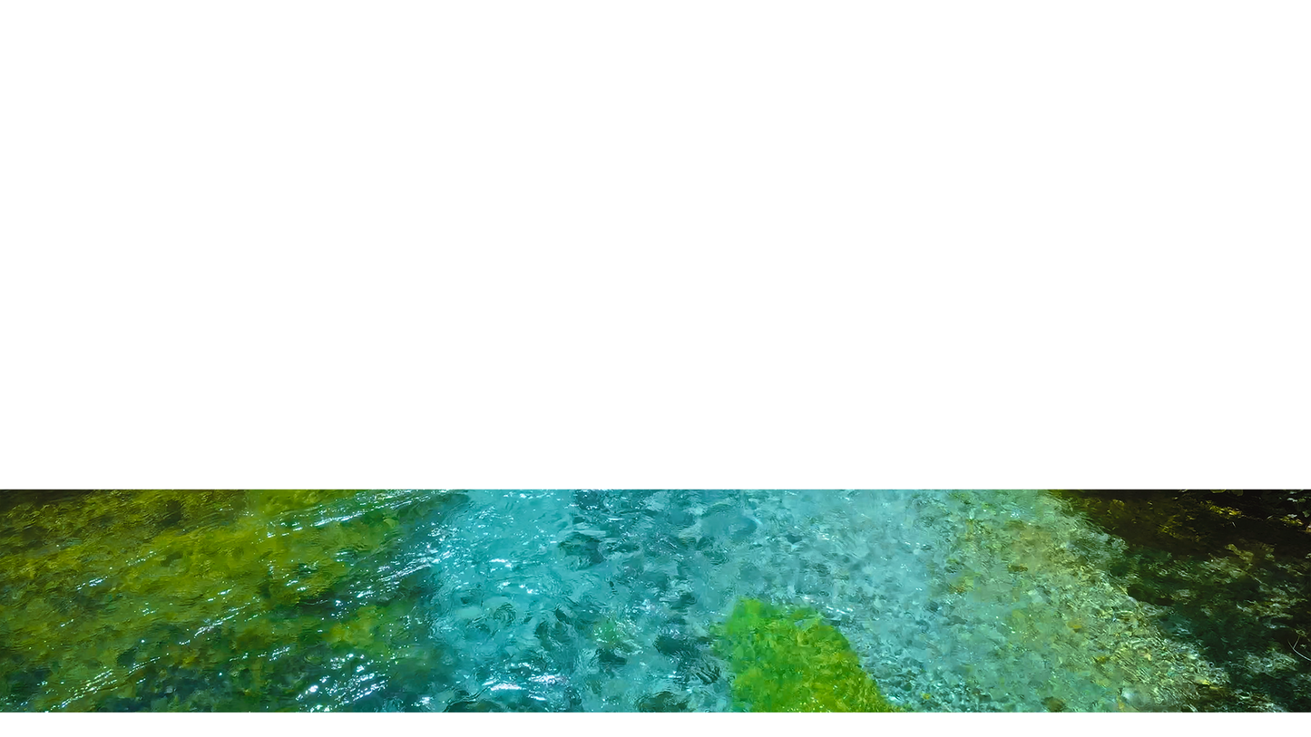Blue Eye Lower Third 8