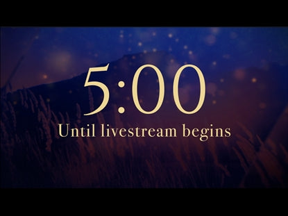 Floating Lights Livestream Countdown