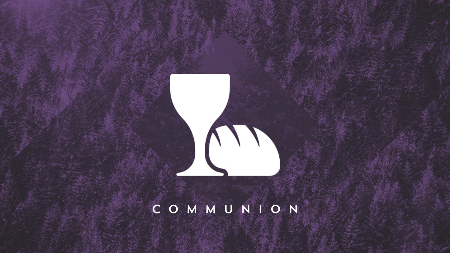 Christmas Forest Communion Still