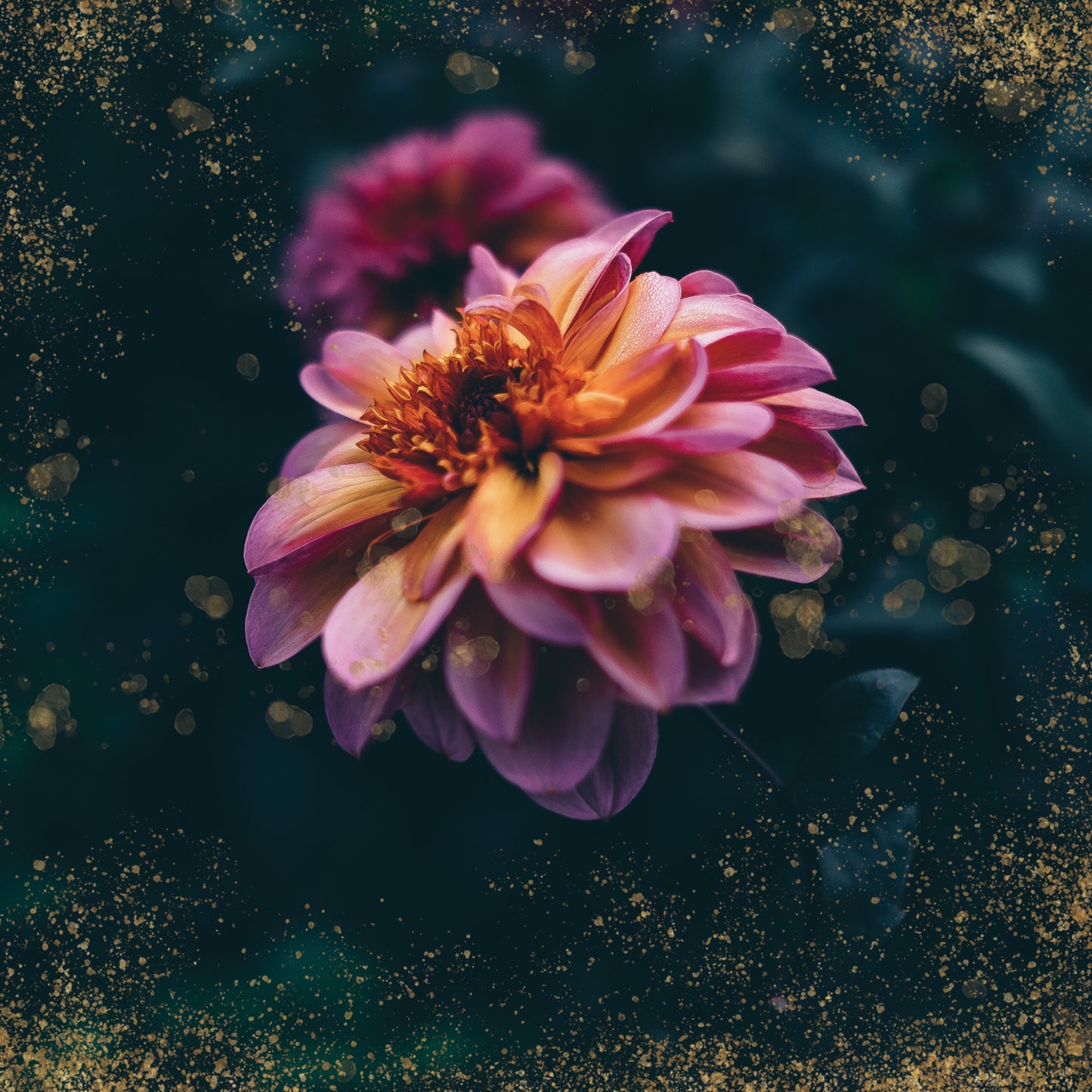 Spring Gold