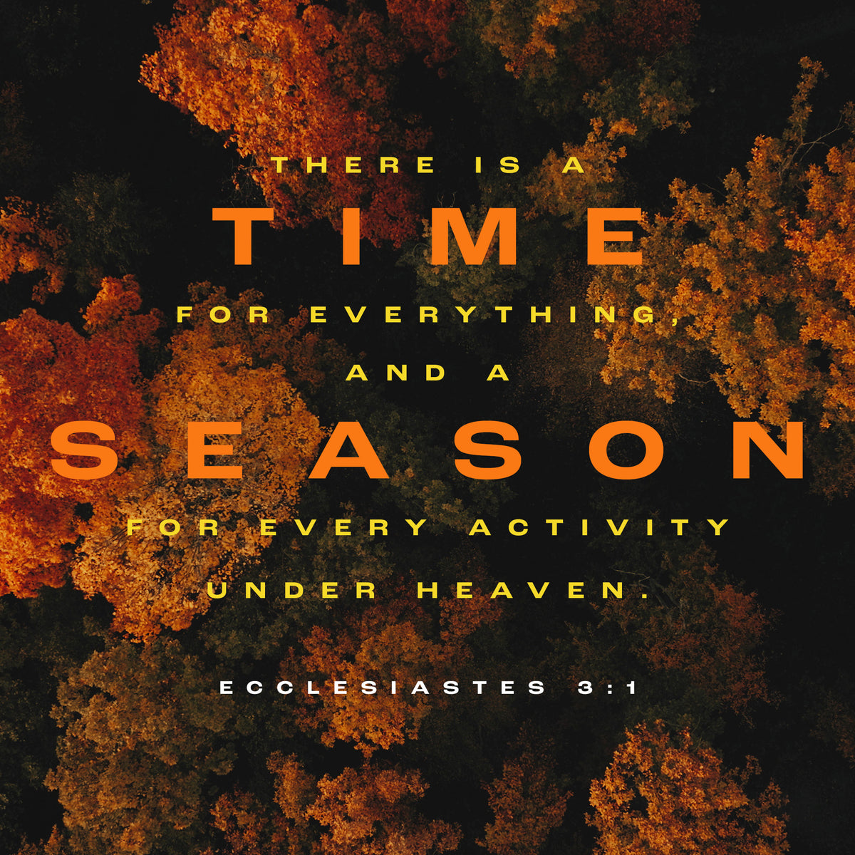 Autumn Foliage Scripture