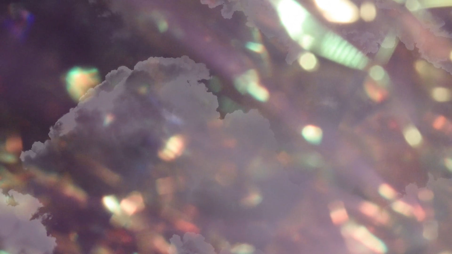 Refracted Nature Still 07