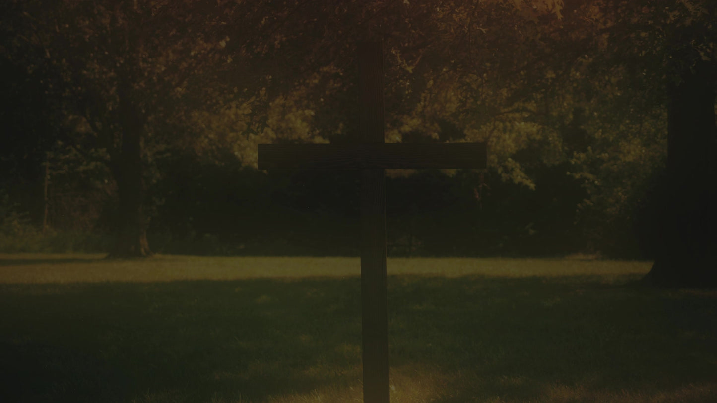 Nature Cross 7 Alt