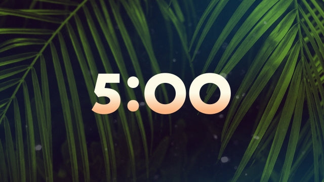 Palm Sunday Streaming Countdown