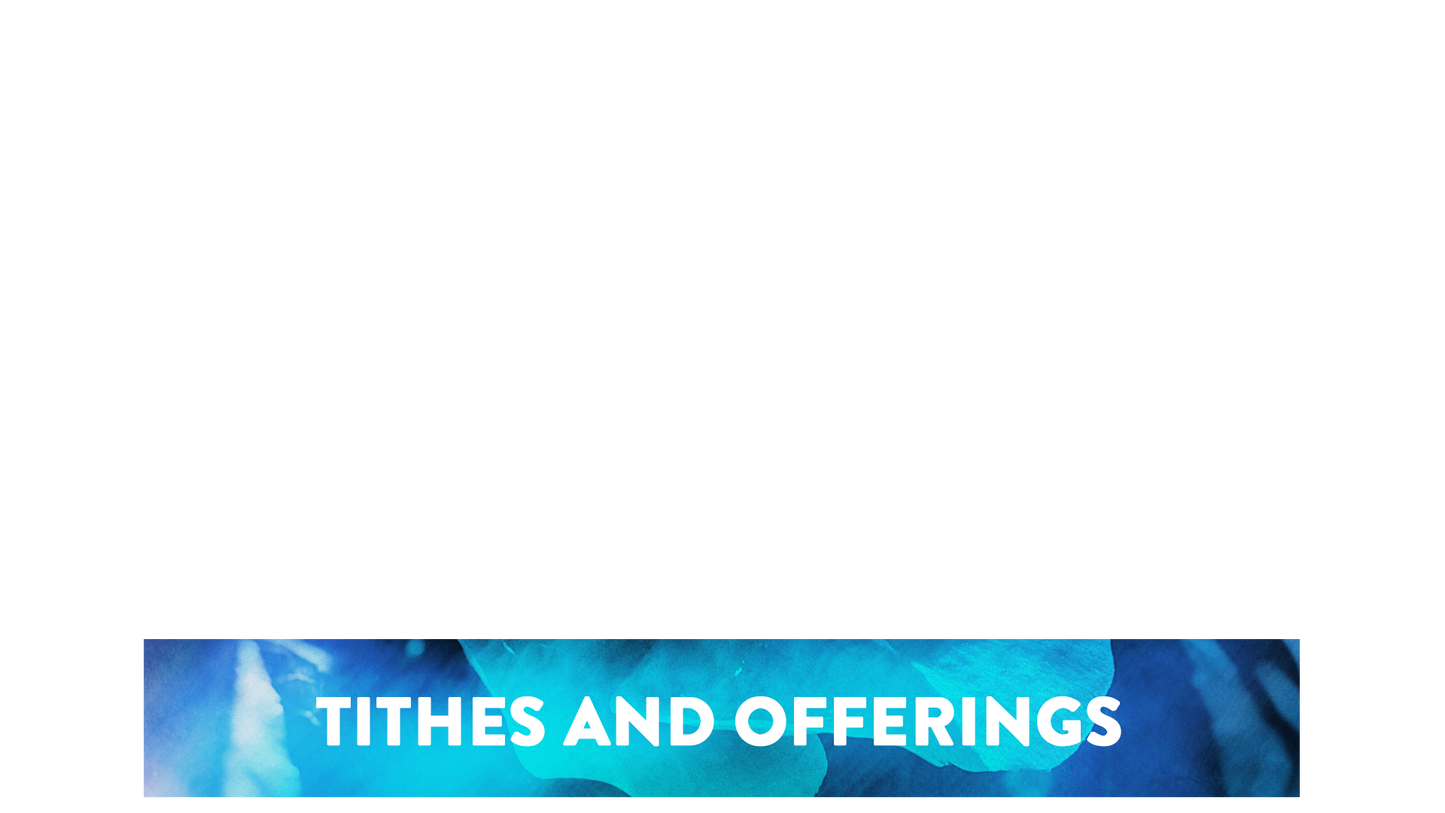 Painted Flowers Lower Third Tithes Offering