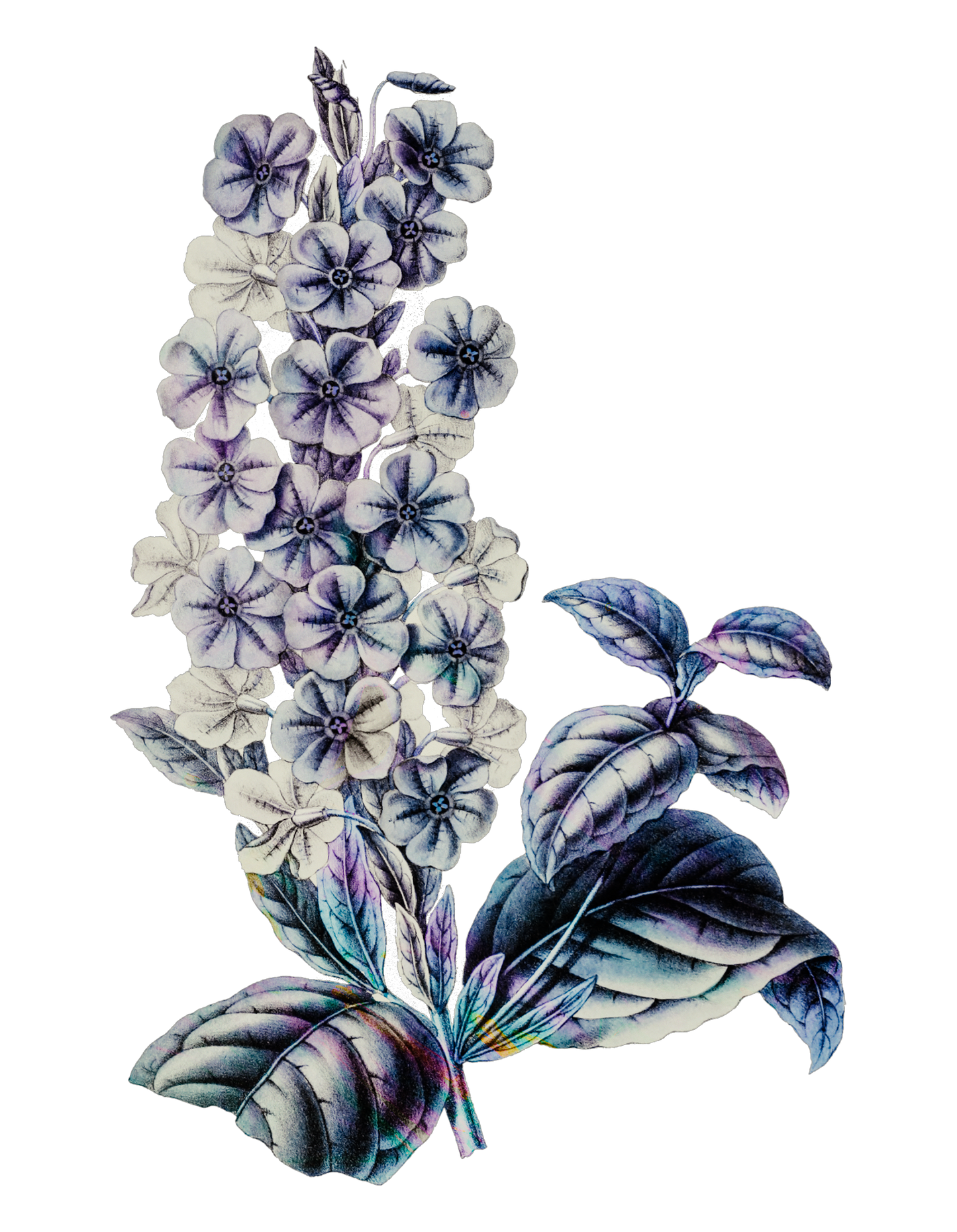 Mothers Day Glam Flower12