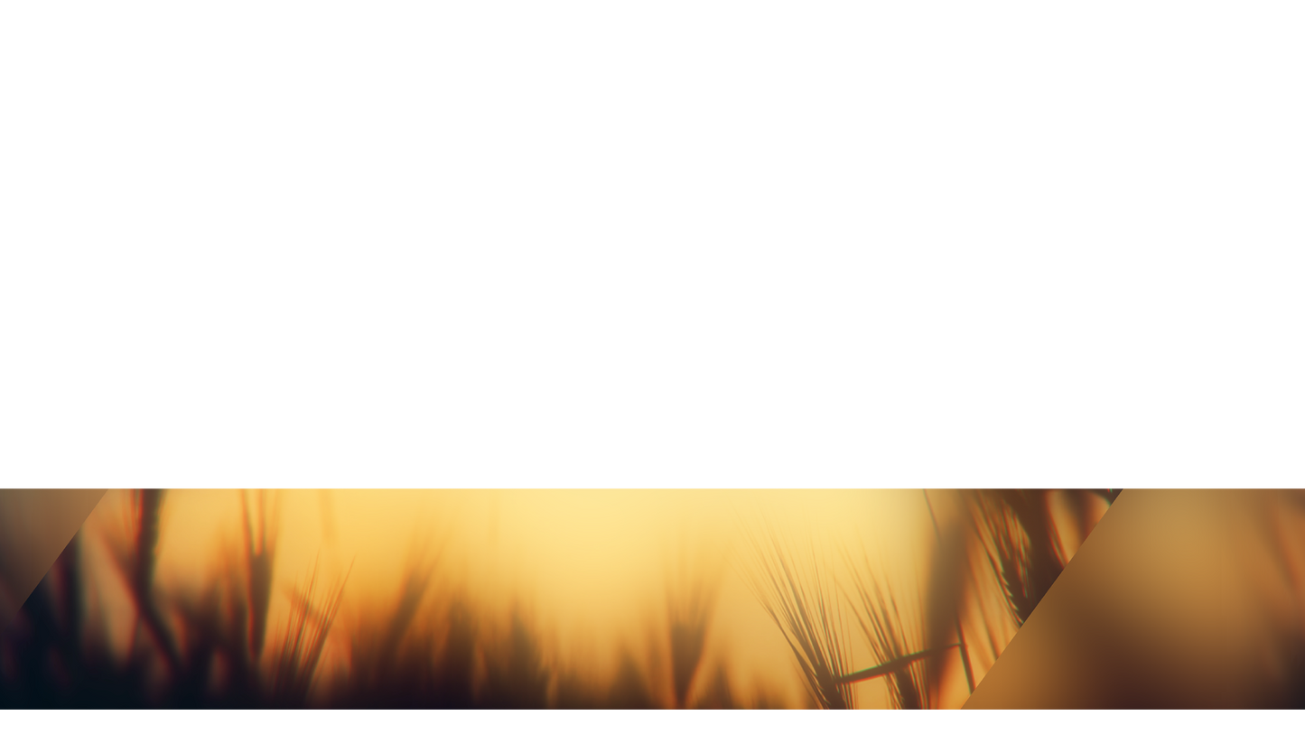 Days End Lower Third Full 1