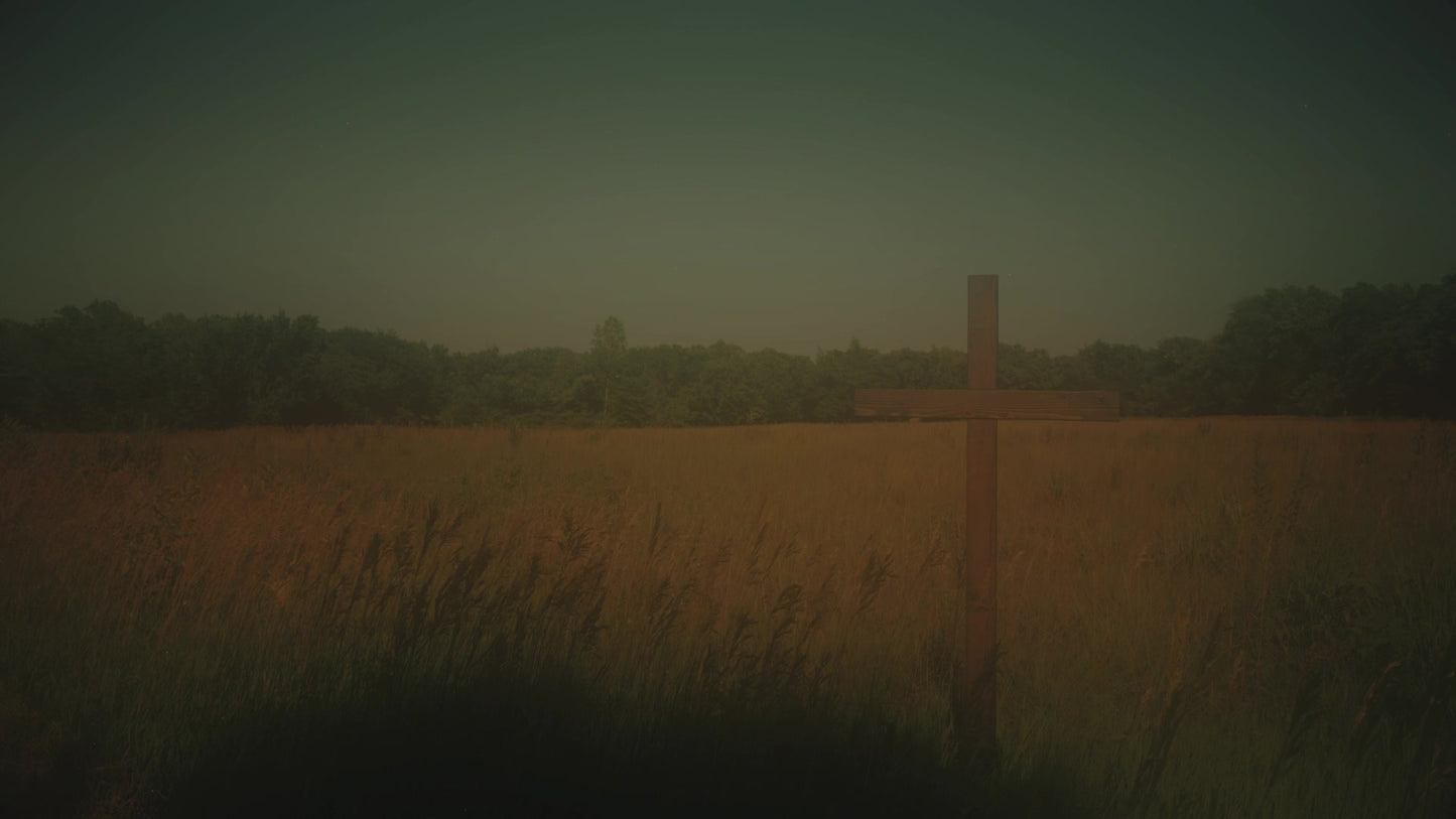 Nature Cross 11 Alt