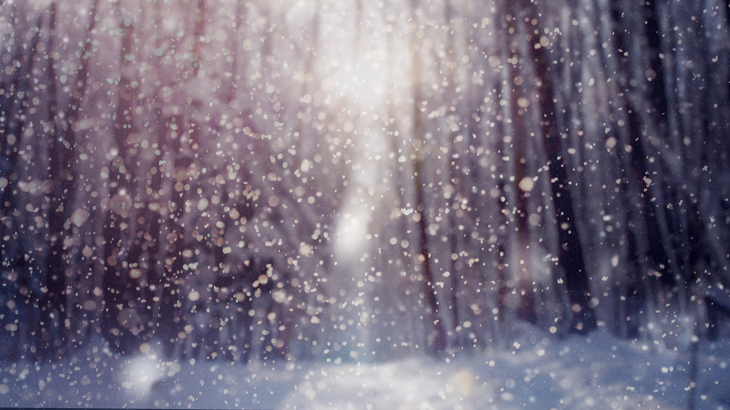 Christmas Forest Blue