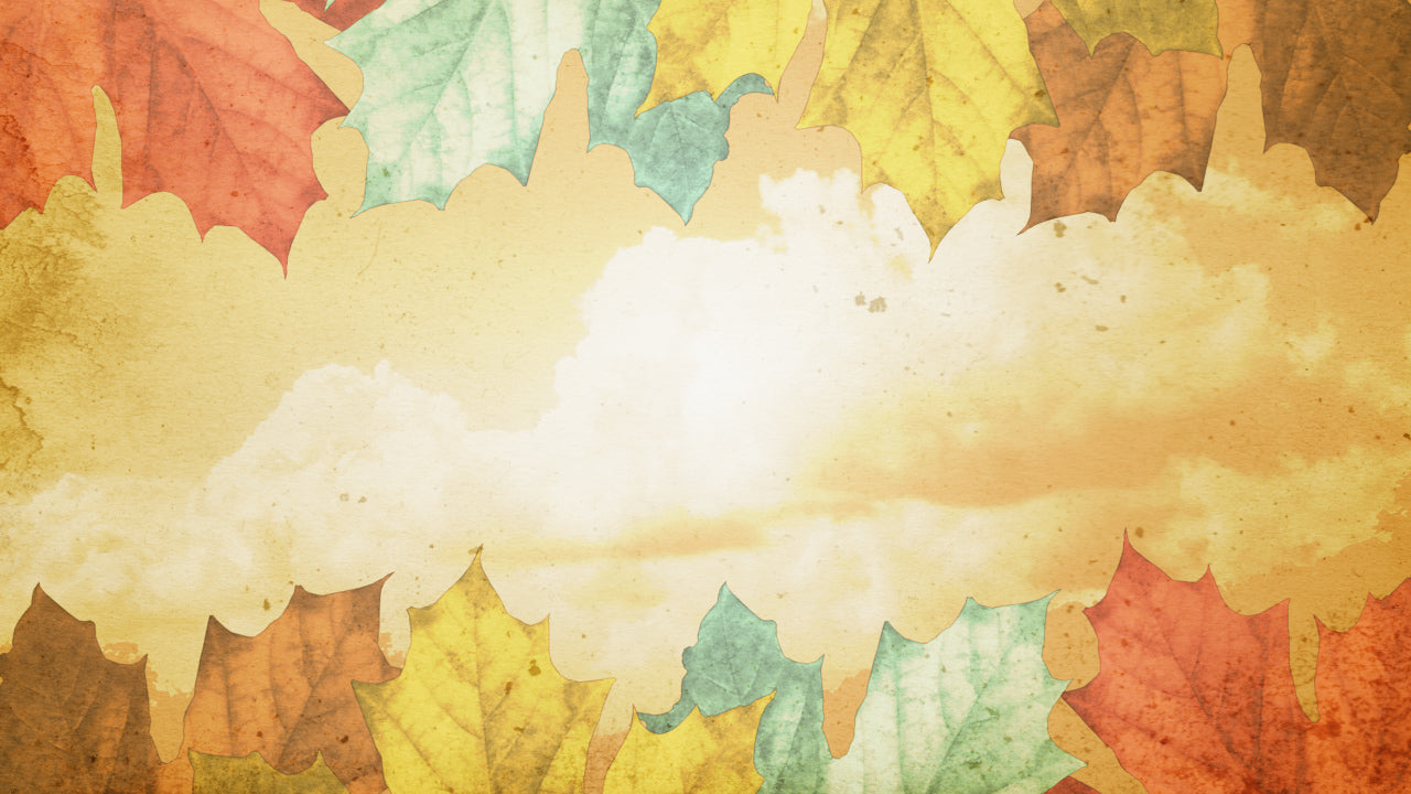 Classic Thanksgiving Leaves Still