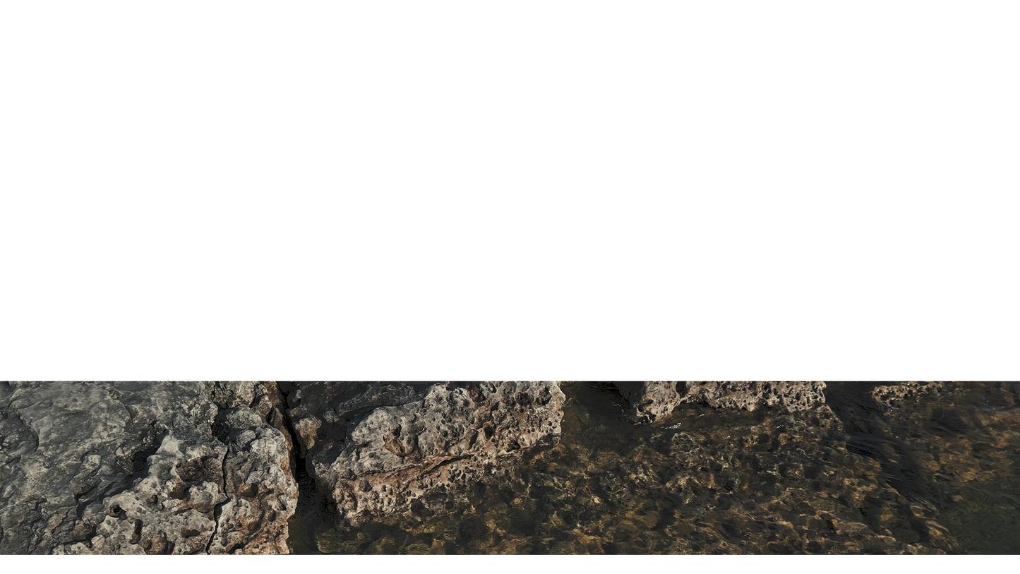Northern Shores Lower Third 11